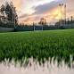 6 a-side @ The Venue at Roses event image