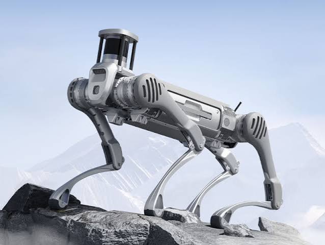 四足机器人：可靠且用途广泛的伙伴| Leobotics 博客
