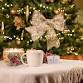 Bosworth Hall Hotel and Spa - Christmas Fayre event image