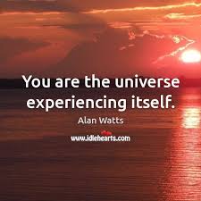 We did not find results for: You Are The Universe Experiencing Itself Idlehearts