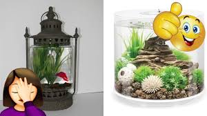 Shop all fish starter kits online. Betta Fish Tank Review Top Fin Bettaflo Soothe 3 5 Gallon Aquarium Update Tuesday Tank Reviews Youtube