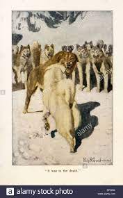 Download This Stock Image Illustration From The Call Of The Wild By Jack London 1903 1904 Illustrated Illustration Retro Illustration Transportation Poster