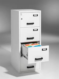 Make sure you have insurance riders to cover you in a worst case. Fireproof File Cabinet Rpf2 40 Holdfast