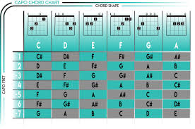 62 punctilious transposition chart for capo