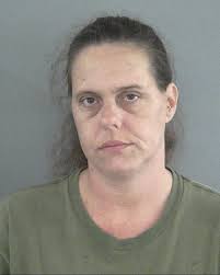 Village of St. Charles woman driving