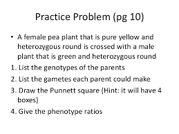Identify the gametes from each parent. Notes Dihybrid Crosses