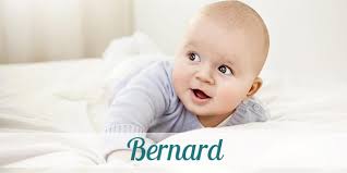 ▷ Vorname Bernard: Herkunft, Bedeutung & Namenstag