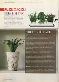 I always have some kind of potting project going i get asked 1 of these questions every month or 2 and wanted to answer them here. Lush Gardens Sanabel Landscape Design Services