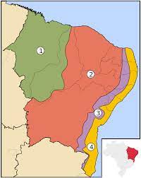 Northeast brazil is largely covered in a scrubby upland forest called a caatingas. Sertao Nordestino Wikipedia A Enciclopedia Livre