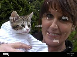 Cat milo hi-res stock photography and images