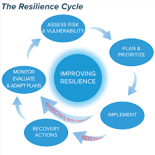 Resilience is the ability to recover from difficult experiences and setbacks, to adapt, move forward and sometimes even experience growth. Coastal Community Resilience Planning Nantucket Ma Official Website