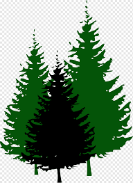 Maybe you would like to learn more about one of these? Pine Tree Fir Pine Cone Leaf Christmas Decoration Silhouette Png Pngwing