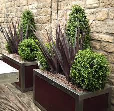 Plantas De Exterior Ideas Para Un Jardin De Ensueno