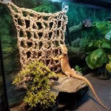 Climbing Wall For Reptiles Etsy Bearded Dragon Terrarium Ideas Bearded Dragon Hammock Bearded Dragon Terrarium