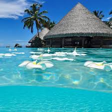 We did not find results for: Tropical Beaches Home Facebook