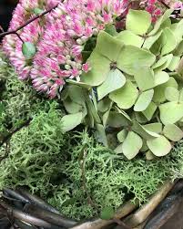 Herbstdeko Ideen Mit Fette Henne Und Hortensien Pflanzen Herbstdeko Hortensien