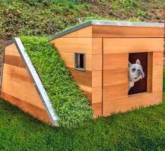 You can use them to create a cute little. This Modern Dog House Is Made With Grass Ramp And An Automatic Water Faucet On Top