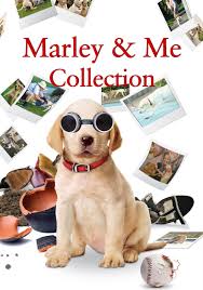Such a cute film but warning, dog lovers, the ending will make you cry. Marley Me Collection Movie Fanart Fanart Tv