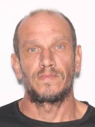 Sex Offenders near Rosemont Elementary