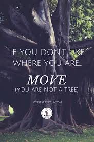My Fit Station Your Stop To A Strong Body Mind Quotes About Everything Meaningful Quotes Words