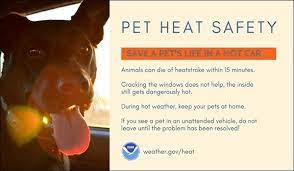 Owning a pet is one of life's great joys, but it's also a lot of responsibility. Children Pets And Vehicles