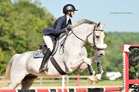 A quick throwback to last summer shooting at Chatt for @buckitequinellc 💕