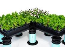 Plant-Tray™ Modular Green Roof | Tile Tech Pavers®