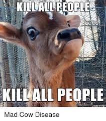 Kielall People Made On Imgur Mad Cow Disease Funny Meme On Me Me