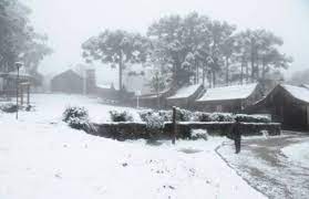 Maybe you would like to learn more about one of these? Semana Tera Frio E Neve No Rio Grande Do Sul Aponta Irga Clic Camaqua