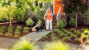 Need ideas on how to use artificial grass for your pet's space? Backyard Ideas For Dogs Sunset Magazine