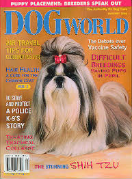 They love to spend time with their owners and other people. Shih Tzu Front Cover Profile
