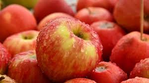 Mewarnai gambar pohon berbuah apel gambar pohon warna. Gambar Buah Apel Untuk Mewarnai