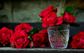 Desktop images flowers will create an attractive look of your desktop. Flower Wallpaper Hd Posted By Christopher Sellers