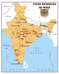 Ake A Look At This List Of The Best National Parks And Wildlife Sanctuaries In India Before You Decide To Go On A Wild Geography Map India Map India World Map