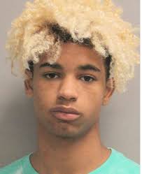 HARRIS COUNTY CONSTABLES ARREST SEVEN SUSPECTS WHO BROKE INTO A RESIDENCE  AND CAUSED $2,800.00 WORTH OF DAMAGES. SUSPECTS RECEIVED $1.00 BOND!