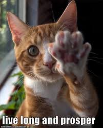 Live Long And Prosper Canlar Kedi Guzel Kediler Ve Evcil Hayvanlar