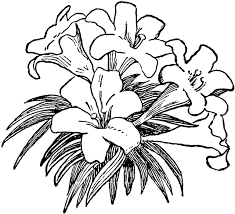 Black And White Lily Clipart Lilies Clipart Etc Flower Coloring Pages Digital Stamps Coloring Pages