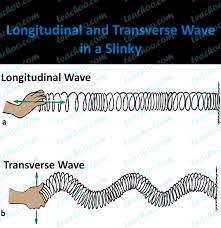 With the exception of light, waves are undulations in some material medium. Longitudinal And Transverse Waves Explanation Difference Teachoo
