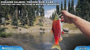 Far Cry 5 All Hard Difficulty Fishing Spot Locations Hunting Challenges State Records Youtube