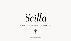 Their blue blossoms are star shaped. Scilla Atipo Foundry