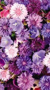 Raccolte di marcella canu • ultimo aggiornamento: Purple Flowers Hd Iphone Wallpaper èŠ± å£ç´™ å£ç´™ èŠ±