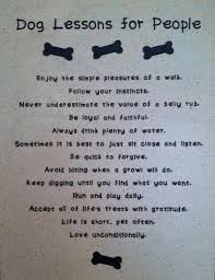 Dog Lover Poem Words Cool Words Follow Your Instinct