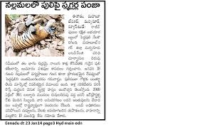 Pin On Biodiversity