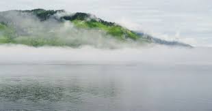 4K Mysterious Foggy Island