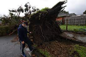 We did not find results for: Man Found Dead In Victorian Floodwaters Ses Volunteers Hospitalised As Evacuation Orders Remain In Place
