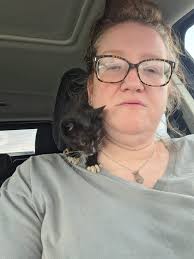 Rescued Kitten Care and Advice