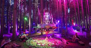 Outdoor Neon Lights 3 Nastygirl Minkpink Electric Forest Festival Forest Festival Electric Forest