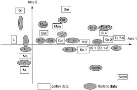 Image result for Thomandersia butayei