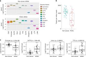 The most common type of cancer that forms in the. Detection Of Early Stage Pancreatic Cancer Using 5 Hydroxymethylcytosine Signatures In Circulating Cell Free Dna Nature Communications