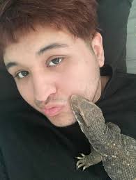 Tick tacks? No! These are the eggs of the 3rd smallest reptile